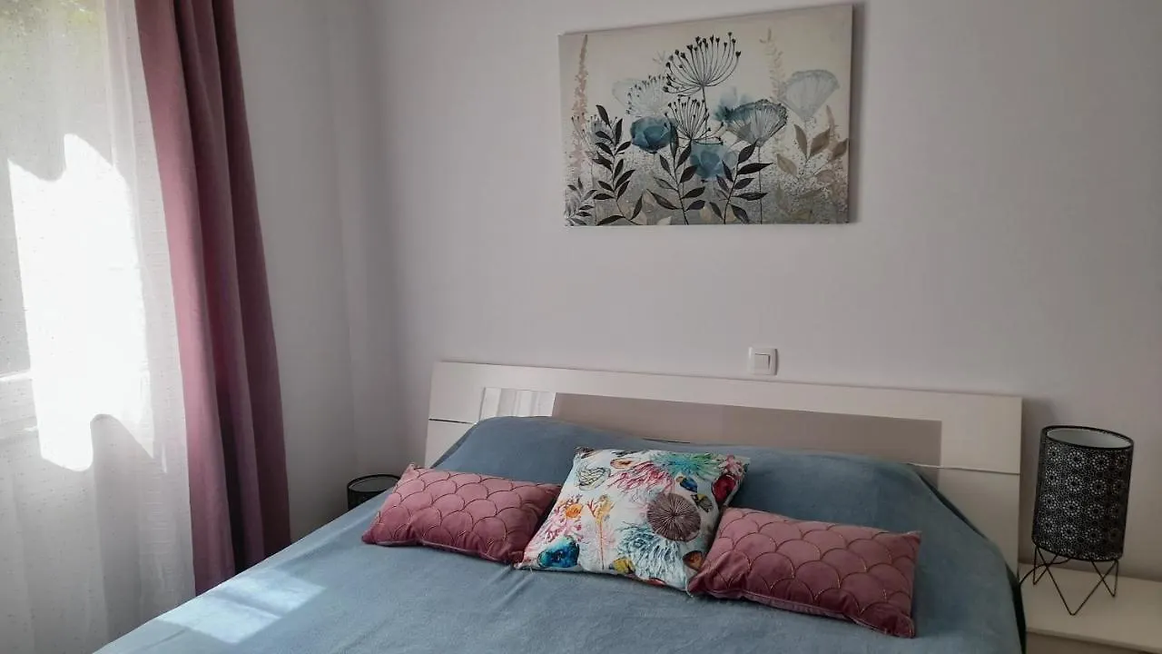 Apartments & Room Danijel Pinezici