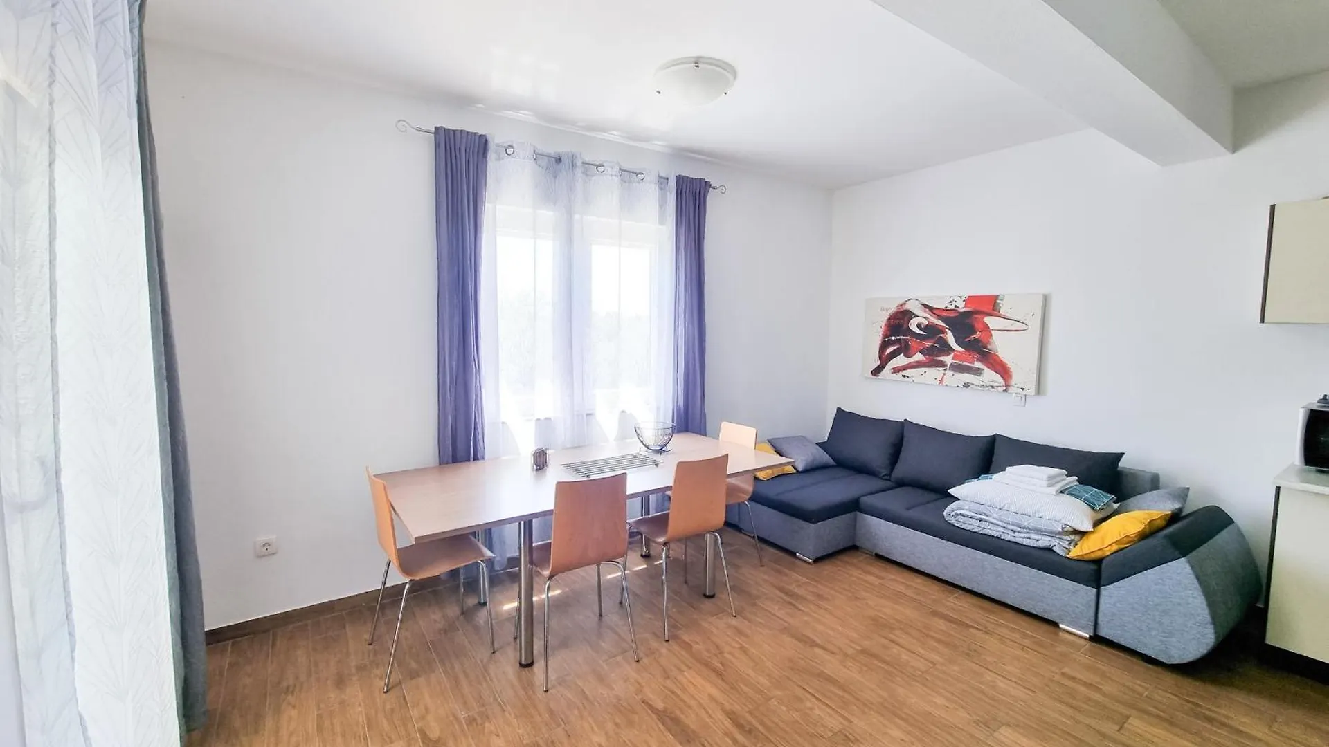 Apartments & Room Danijel Pinezici