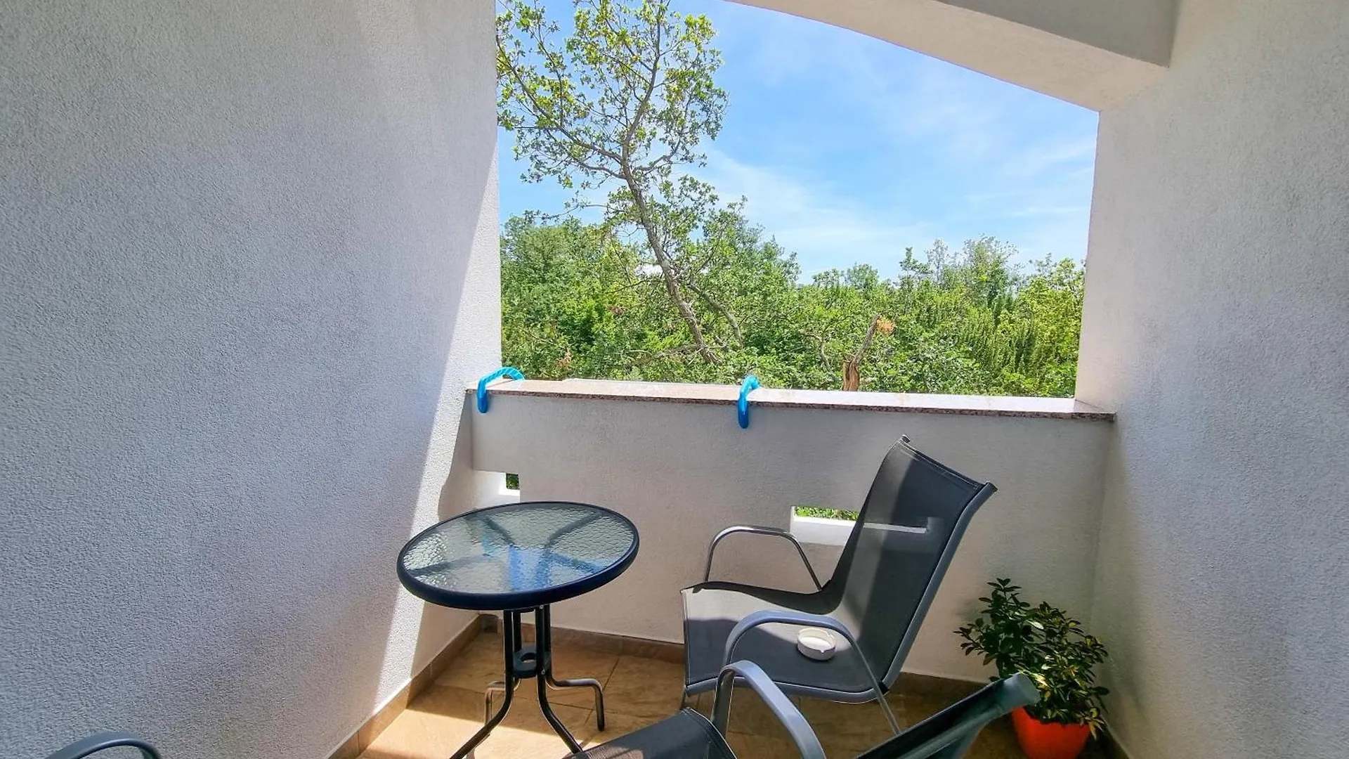 Apartments & Room Danijel Pinezici  Croatia